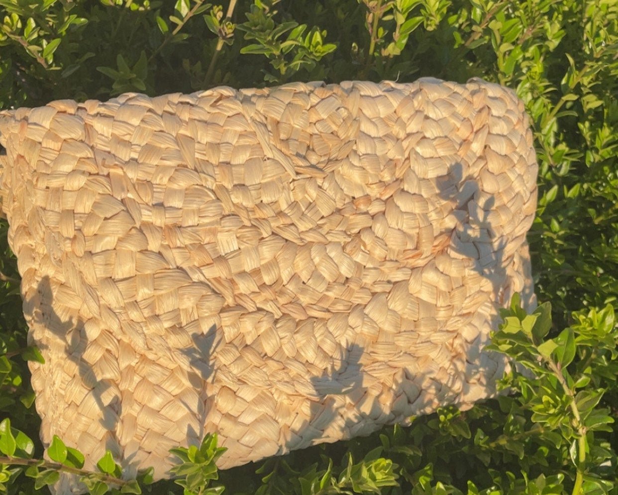 Pochette Beige - MissLivy Jewelry